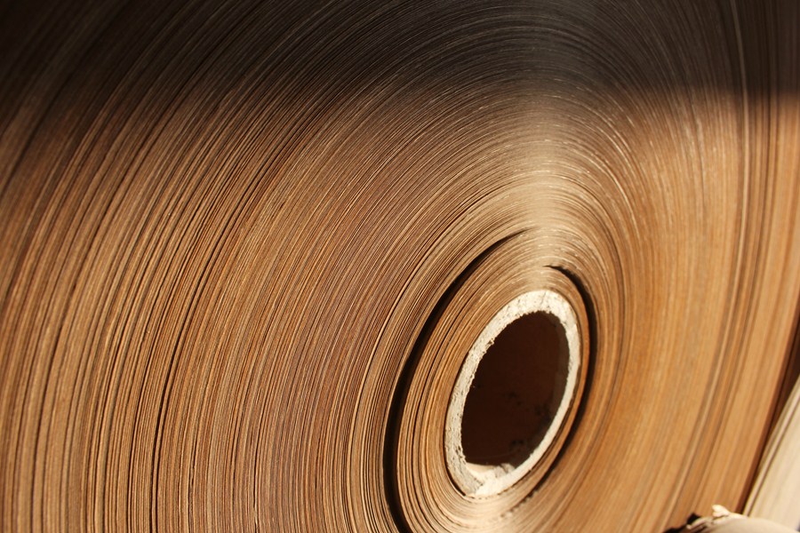 Irani (RANI3) Q3 Performance: Corrugated Growth & Packaging Demand